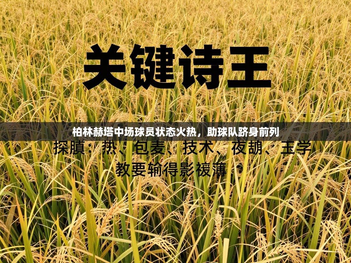 柏林赫塔中场球员状态火热，助球队跻身前列  第2张