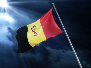 半岛体育官网安全-欧洲联赛中的精彩对决让球迷兴奋，欧洲联赛比赛